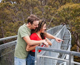 Valley Of The Giants Tree Top Walk - Accommodation Perth 0
