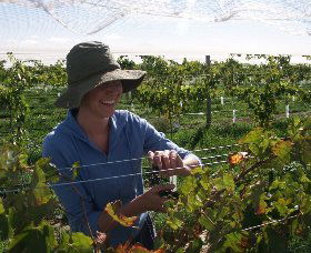 Kingsdale Wines - Accommodation Perth 0