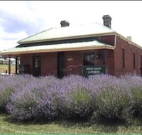 Lavender House in Railway Park - Accommodation Perth