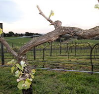 Nalbra Estate Wines - Accommodation Perth