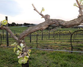 Nalbra Estate Wines - Accommodation Perth 0