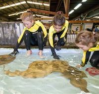 Australian Shark and Ray Centre - Accommodation Perth