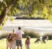 Yanchep National Park - Bushwalking Trails - Accommodation Perth