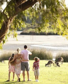 Yanchep National Park - Bushwalking Trails - Accommodation Perth 0