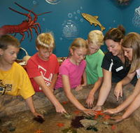Naturaliste Marine Discovery Centre - Accommodation Perth