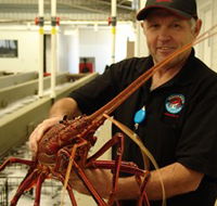 Lobster Shack - Perth Resorts