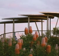 Reabold Hill Summit Boardwalk Bold Park - Accommodation Perth