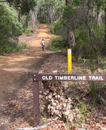 Book Nannup WA Attractions Accommodation Perth Accommodation Perth