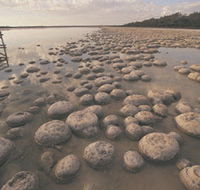 Lake Clifton Thrombolites - Accommodation Perth