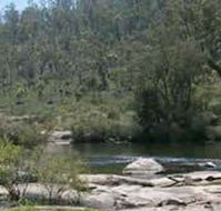 Wellington Discovery Forest