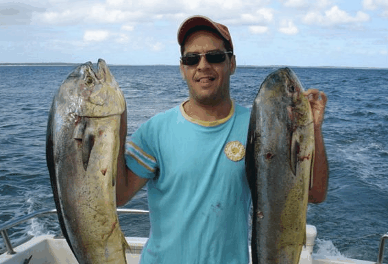 Jervis Bay Fishing and Charters - Accommodation Perth
