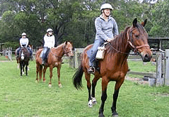 Valhalla Horse Riding - Perth Resorts 2