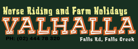 Valhalla Horse Riding - Perth Resorts 4