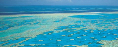 Aristocat Snorkel And Scuba Port Douglas - Accommodation Perth 3