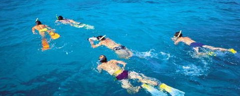 Aristocat Snorkel And Scuba Port Douglas - Accommodation Perth 4
