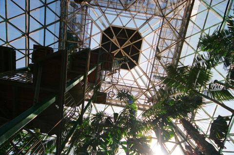 Cairns ZOOm And Wildlife Dome - Accommodation Perth 1