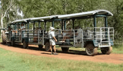 Whitsunday Crocodile Safari - Accommodation Perth 2