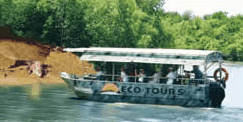 Whitsunday Crocodile Safari - thumb 3