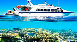 Reef Jet Cruises - Accommodation Perth 2