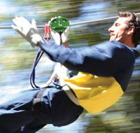 Adventure Parc - Accommodation Perth