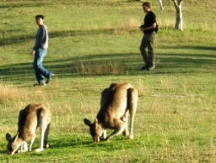 Southern Queensland Country QLD Accommodation Perth