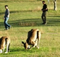 Araucaria Ecotours - Accommodation Perth