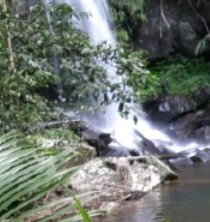 Araucaria Ecotours - Perth Resorts 4