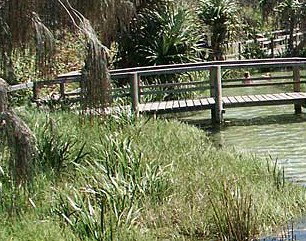 Australia Fraser Island Escape - Accommodation Perth 1