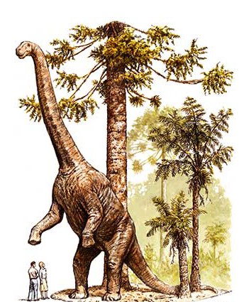 Australian Age Of Dinosaurs - Accommodation Perth 2