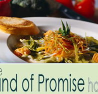 Land of Promise Hotel - Accommodation Perth