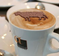 Brown Cow - Accommodation Perth