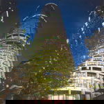 Summit - Restaurant - Accommodation Perth 1
