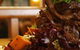 Kenmore Tavern - thumb 2