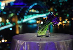 Summit - Orbit Lounge Bar - Accommodation Perth 3