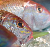 Coro Hotel - Lure Seafood Restaurant