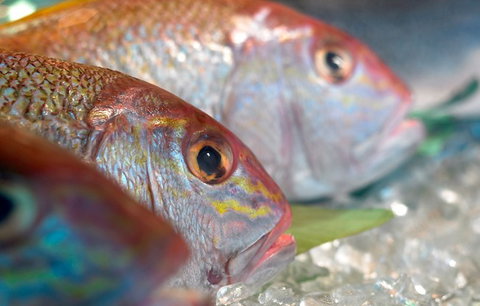 Coro Hotel - Lure Seafood Restaurant - Accommodation Perth 0