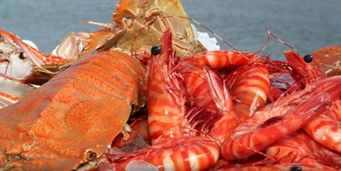 Morgans Seafood Restaurant - Accommodation Perth 5