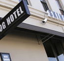 Skinny Dog Hotel - Accommodation Perth