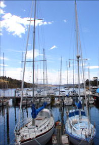 Oyster Cove Inn - Accommodation Perth 0