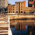 Whitmore Hotel - thumb 0