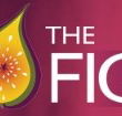 Pickled Fig - Accommodation Perth