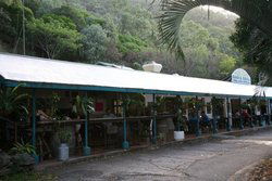 Ellis Beach Bar & Grill - Accommodation Perth 1