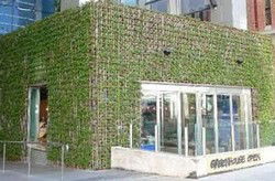 Greenhouse - Accommodation Perth 2