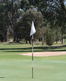 Inverell Golf Club - Accommodation Perth 1