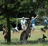 Glen Innes Golf Club - Accommodation Perth