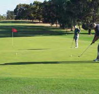 Waikerie Golf Club - Accommodation Perth