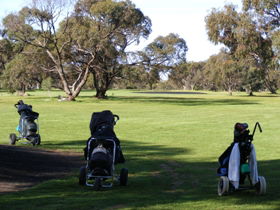 Minlaton Golf Club - Accommodation Perth 3