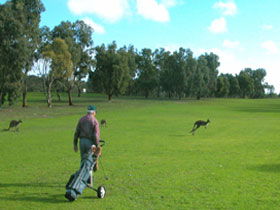 Coffin Bay Golf Club - Accommodation Perth 0