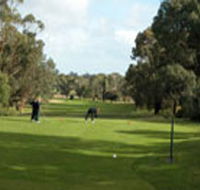 Mount Gambier Golf Club - Accommodation Perth