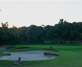 Anglesea Golf Club - Accommodation Perth 8